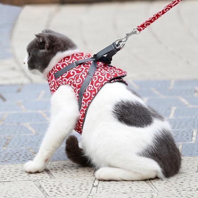 VECAT™: Arnés para gatos ajustable con correa